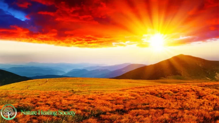 THE BEST Morning Music To Wake Up With 528Hz