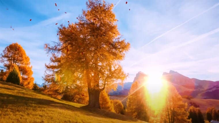 Fresh Morning Music To Begin Your Day With 528Hz