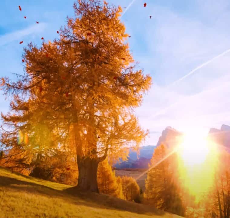 Fresh Morning Music To Begin Your Day With 528Hz