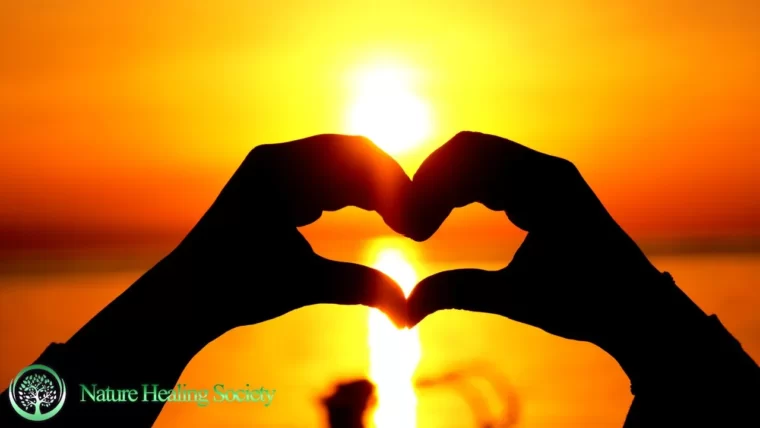 528Hz THE BEST FLUTE Morning Music