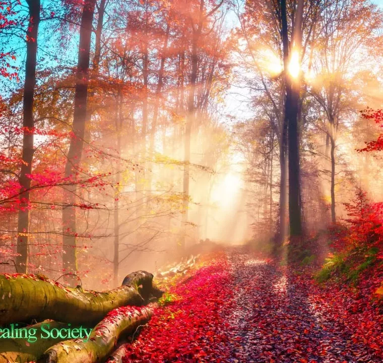 Wake Up And Listen: Morning Music For A Great Start To Your Day 528Hz