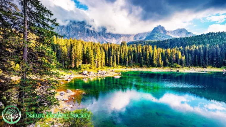 Begin Your Day Music: Renew Positive ENERGY 528Hz