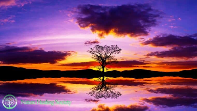 528Hz Serene Sunrise