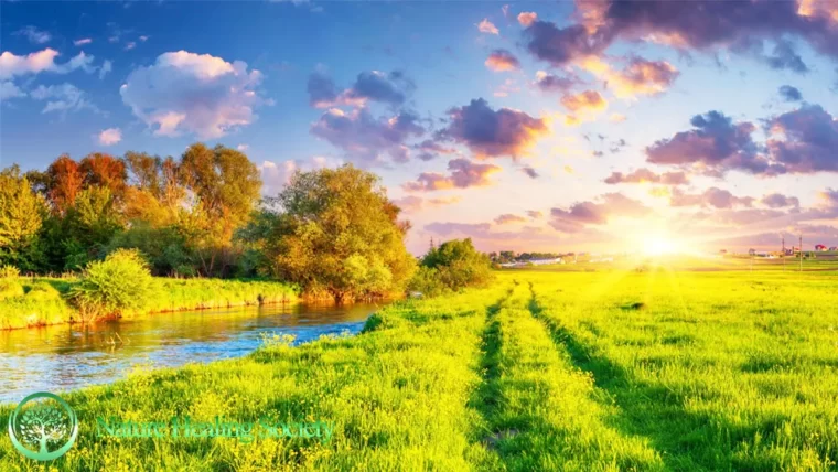 Refreshing Rhythms: GOOD MORNING MUSIC 528Hz
