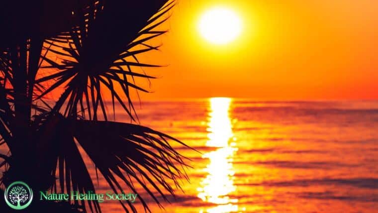 528Hz Euphoria Morning Music