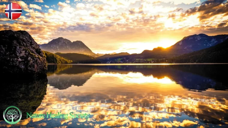 Begin Your Day With Beautiful Morning Music 528Hz