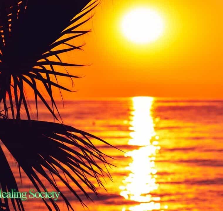 528Hz Euphoria Morning Music