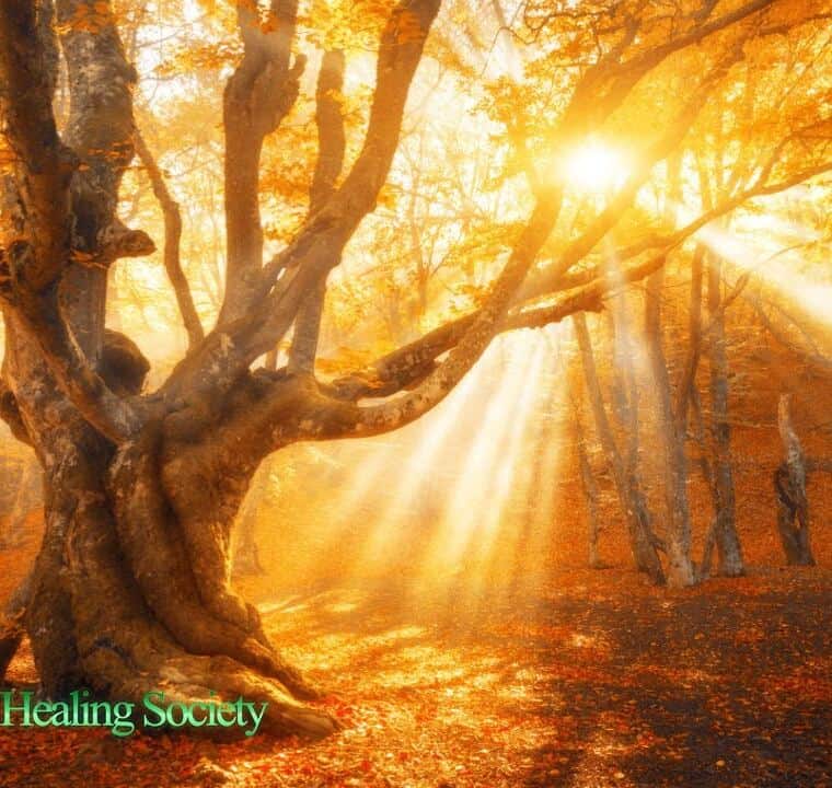 THE BEST FLUTE MUSIC TO WAKE UP WITH 528hz