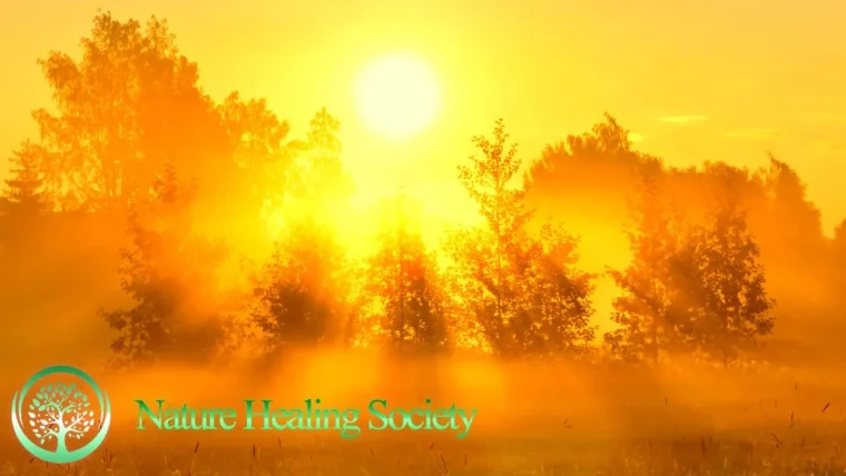 Beautiful Good Morning Music 528hz - Boost Positive Energy