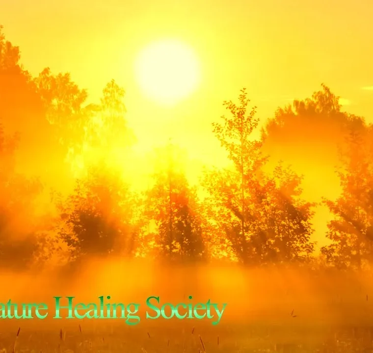 Beautiful Good Morning Music 528hz - Boost Positive Energy