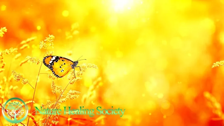 432Hz Beautiful Good Morning Meditation Music