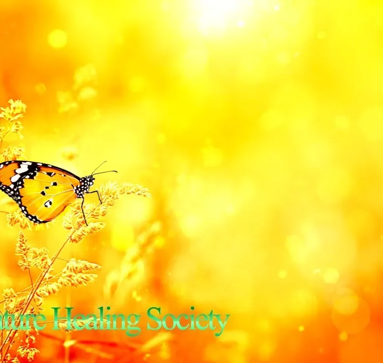 432Hz Beautiful Good Morning Meditation Music