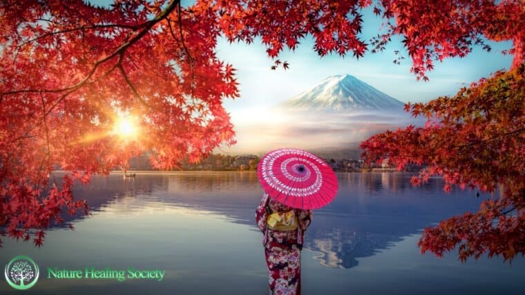 POWERFUL Morning Music With Clean Positive Energy 528Hz