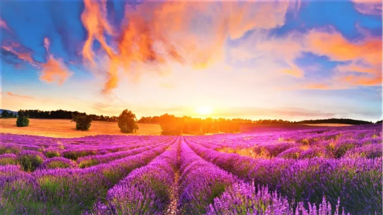 GOOD MORNING MUSIC - 528Hz New Positive Healing Music