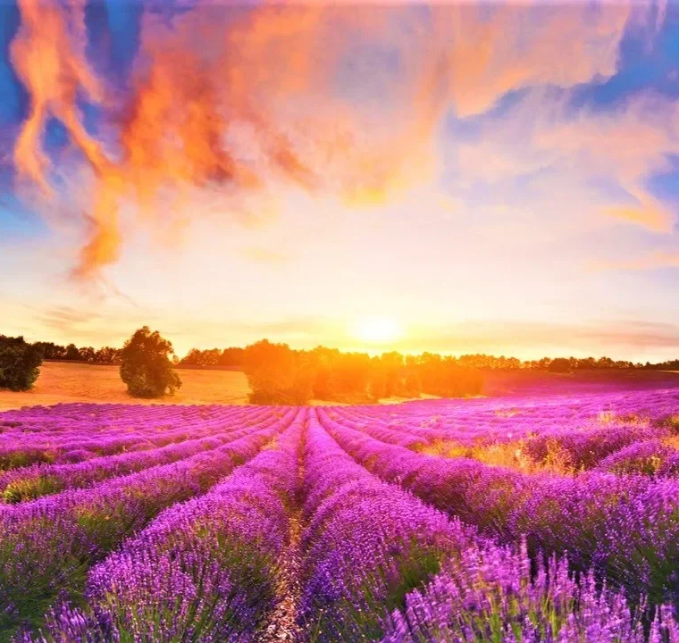 GOOD MORNING MUSIC - 528Hz New Positive Healing Music