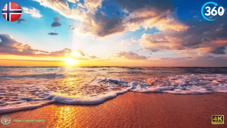 360° Virtual Nature - Morning Relaxing Music 432Hz