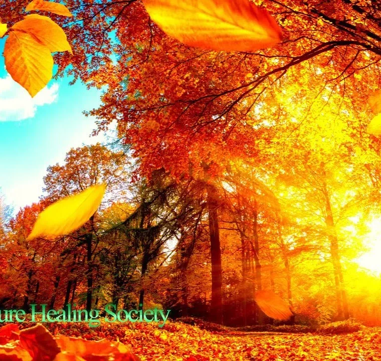 Good Morning Meditation Music  528Hz Positive Healing Thoughts&Energy