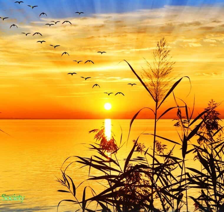BEAUTIFUL Euphoric Morning Music With Positive Energy & Feelings