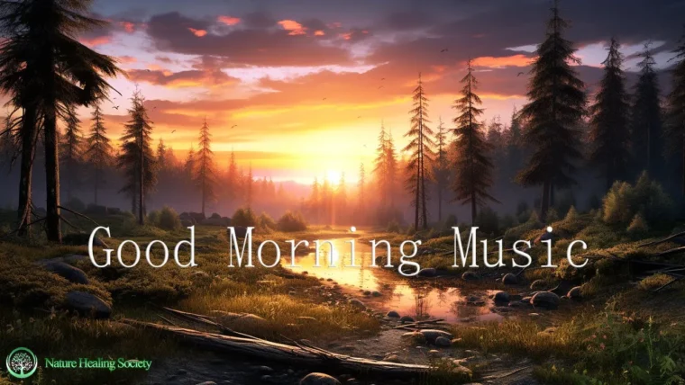 MORNING Meditation Music 528hz