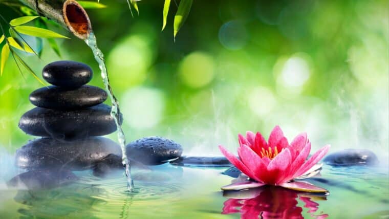 Peaceful Relaxing Morning Music To Start The Day 432Hz