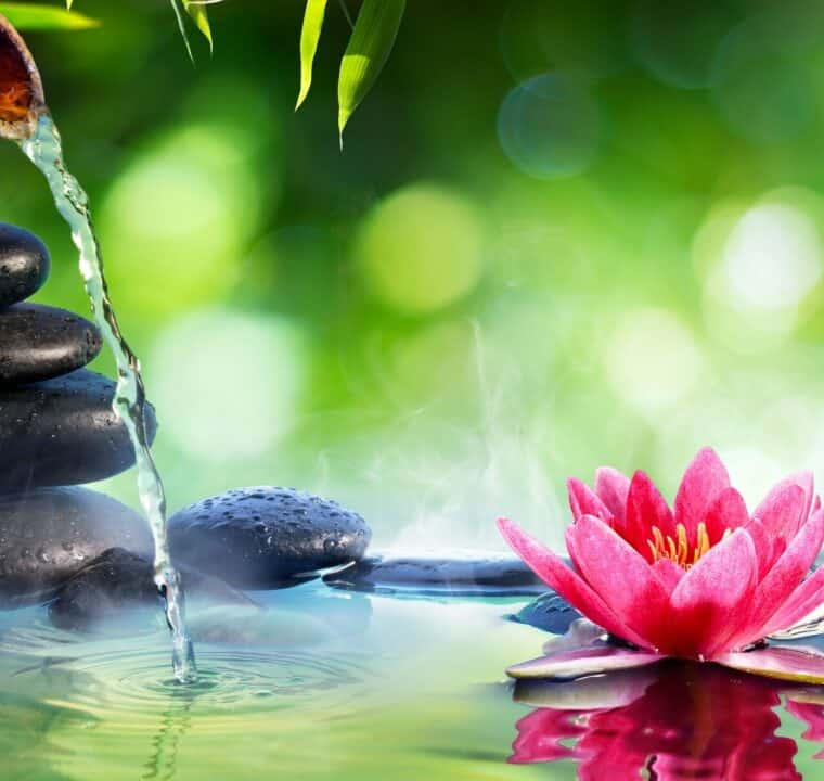 Peaceful Relaxing Morning Music To Start The Day 432Hz