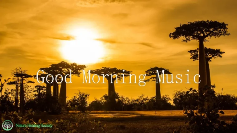 QUIET SOOTHING Morning Music To Wake Up With - Meditation & Relaxation Music 432Hz